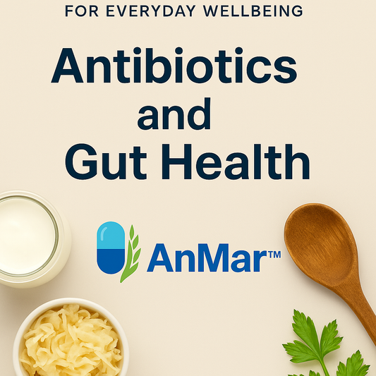 Antibiotics and Gut Flora – AnMar Wellness Journal Blog Banner