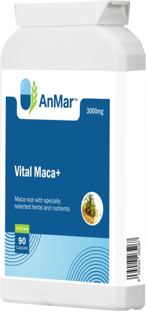 Angled front-right view of AnMar™ Vital Maca+ bottle featuring 3000mg maca root blend with herbs and nutrients, 90 vegan capsules.