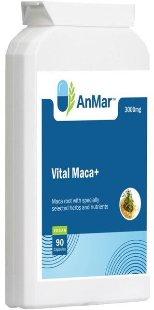 Angled front-left view of AnMar™ Vital Maca+ supplement showing 3000mg maca root formula with herbs and nutrients, 90 vegan capsules.