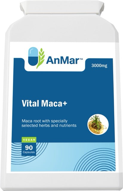 Flat front view of AnMar™ Vital Maca+ supplement showing 3000mg maca root with herbs and nutrients, vegan-certified, 90 capsules.
