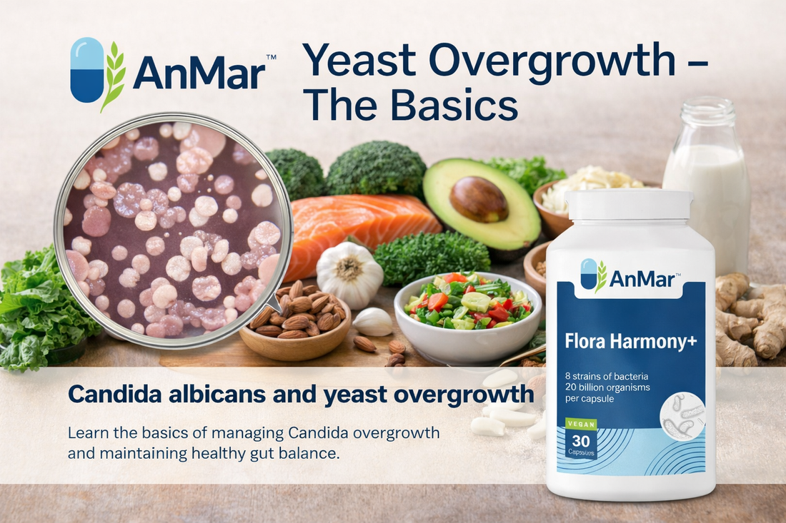AnMar™ Flora Harmony+ probiotic supplement with 20 billion live bacteria per capsule, alongside nutritious foods to support healthy gut balance and manage yeast overgrowth.
