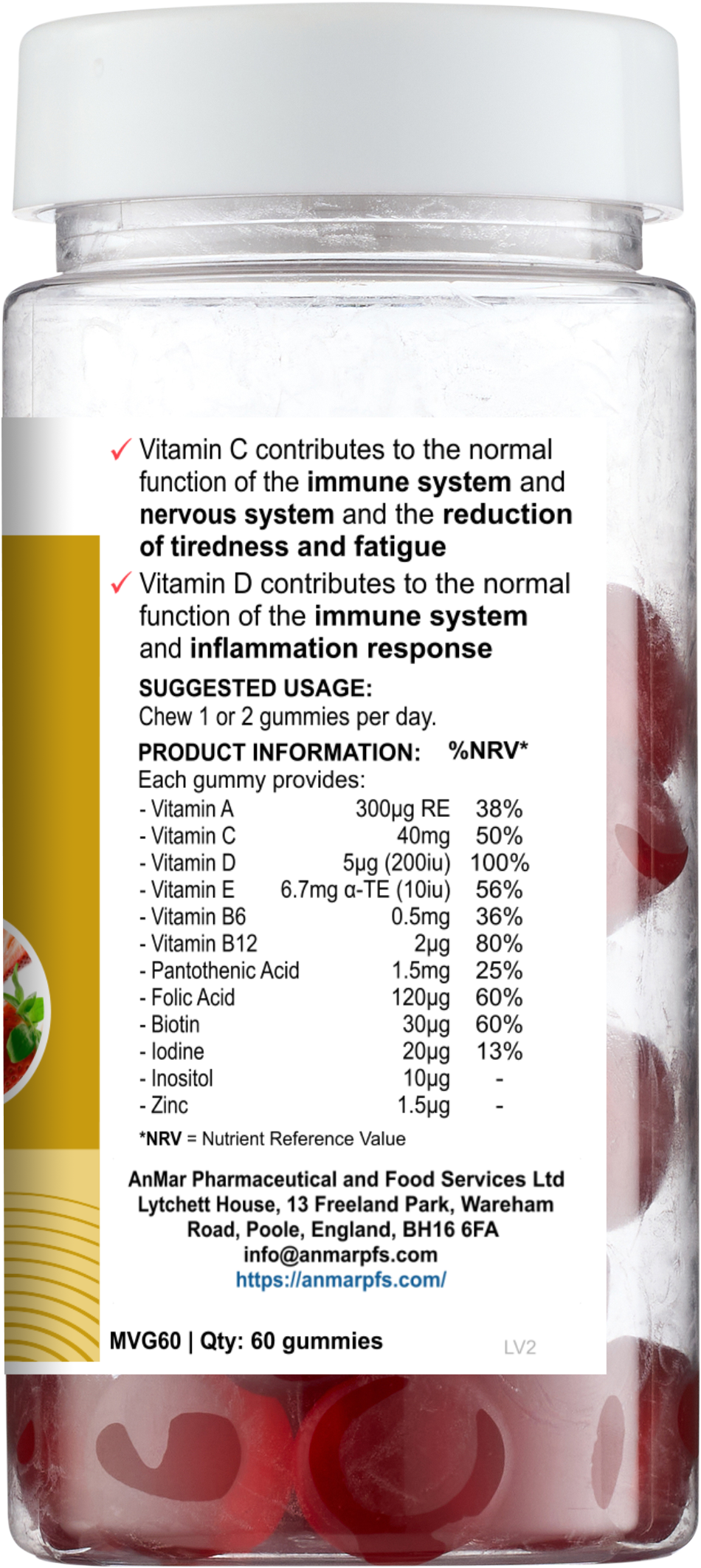 Back view of AnMar™ Daily Wellness Gummies+ bottle showing nutritional information, suggested usage, and company contact details for the 60-count strawberry flavour multivitamin gummies.