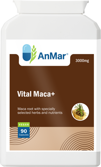 Front label of AnMar™ Vital Maca+ supplement showing maca root with herbs and nutrients, 3000mg dosage, and vegan certification.