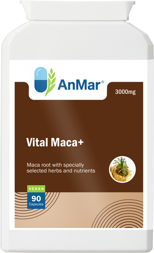 Front label of AnMar™ Vital Maca+ supplement showing maca root with herbs and nutrients, 3000mg dosage, and vegan certification.