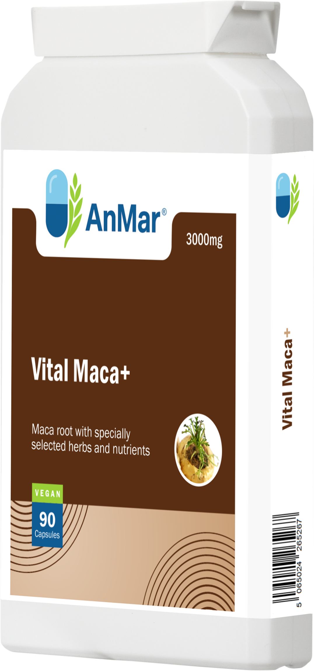 Angled front-right view of AnMar™ Vital Maca+ bottle featuring 3000mg maca root blend with herbs and nutrients, 90 vegan capsules.