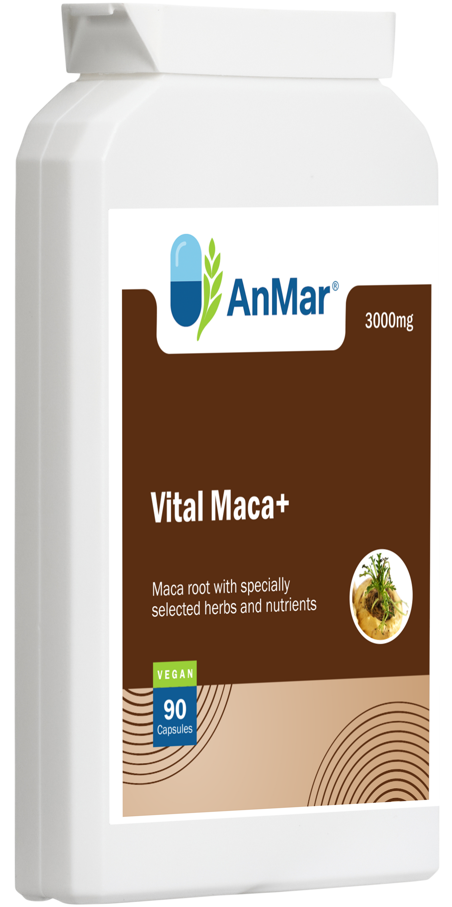 Angled front-left view of AnMar™ Vital Maca+ supplement showing 3000mg maca root formula with herbs and nutrients, 90 vegan capsules.