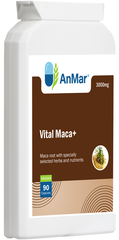 Angled front-left view of AnMar™ Vital Maca+ supplement showing 3000mg maca root formula with herbs and nutrients, 90 vegan capsules.