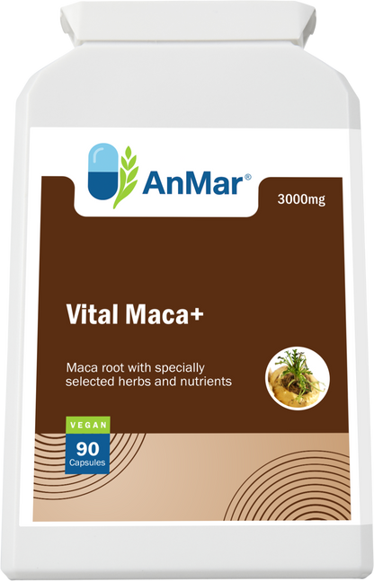 Flat front view of AnMar™ Vital Maca+ supplement showing 3000mg maca root with herbs and nutrients, vegan-certified, 90 capsules.